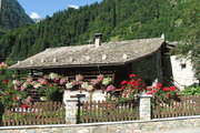 Alpesi ház