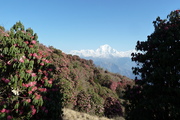 Ghandruk Trek és Annapurna alaptábor
